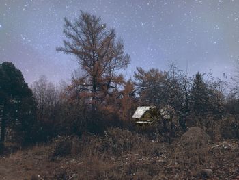 Trees on field against sky at night