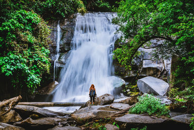 Scenic view of waterfall in forest