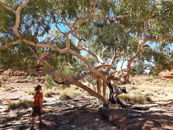 Full length of woman on tree