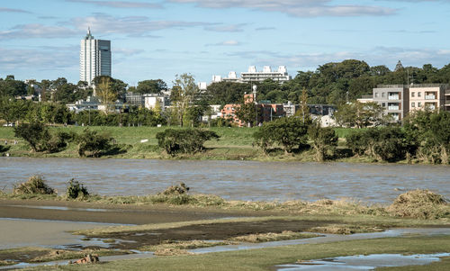 Trees and buildings in city against sky