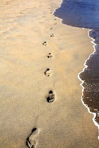 High angle view of footprints on beach