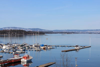 Sailboats moored at harbor against sky