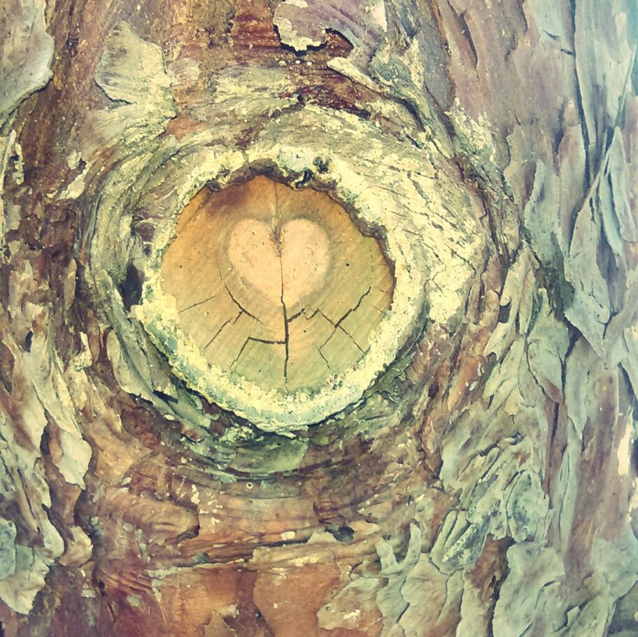 textured, full frame, pattern, close-up, backgrounds, art and craft, wood - material, creativity, circle, art, rough, indoors, design, old, wall - building feature, tree trunk, no people, day, shape, tree