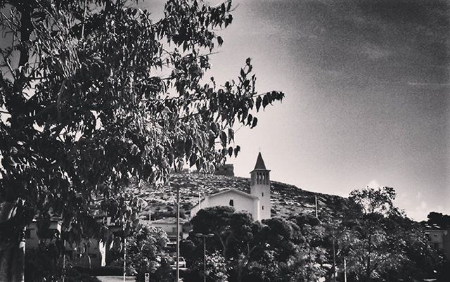 architecture, built structure, building exterior, place of worship, religion, tree, church, spirituality, low angle view, sky, history, cathedral, cross, clear sky, branch, tower, day, outdoors