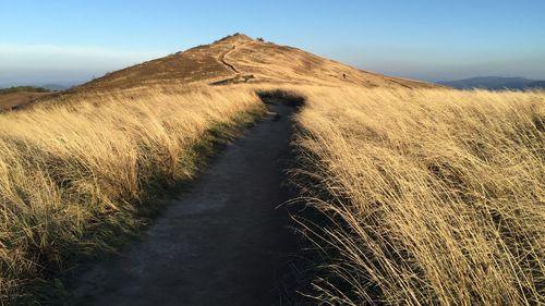 Footpath amidst dry grass on field against sky