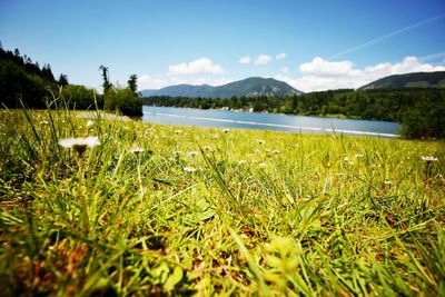 Scenic view of lake and mountains