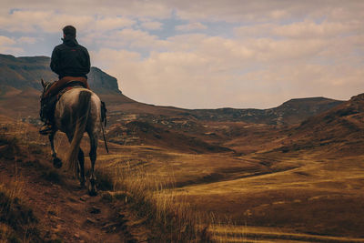 Rear view of man riding horse on mountain against sky