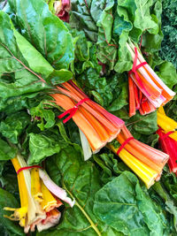 High angle view of chopped vegetables on leaf