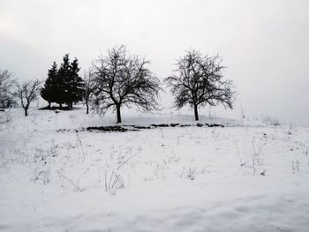 Bare trees on snow covered field against sky