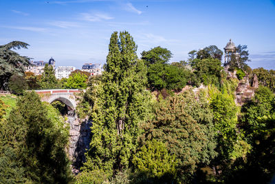 Trees and plants against sky in city