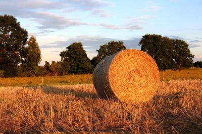 Hay bales on field against sky