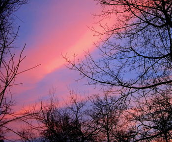 Silhouette bare trees against sky at sunset