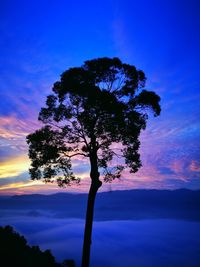Low angle view of silhouette tree against sky at sunset