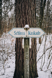 Close-up of information sign on tree trunk in forest