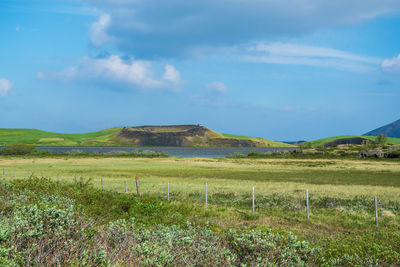 Scenic view of field against sky