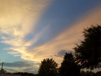 Low angle view of trees against sky at sunset