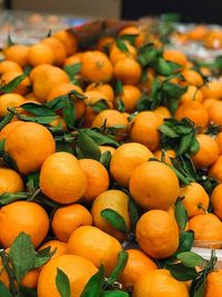 Full frame shot of orange fruits for sale at market stall