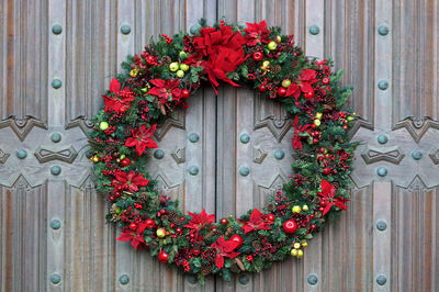 Red flowering plants against closed door