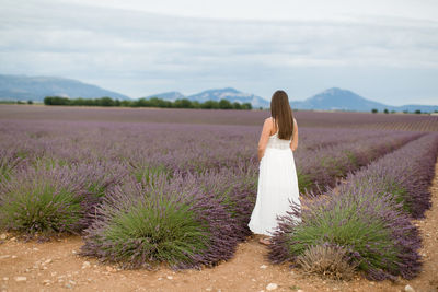 Rear view of woman with umbrella on land against sky