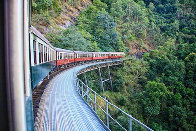 Railwaybridge over trees in forest