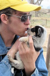 Close-up of teenage boy kissing puppy