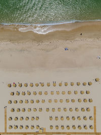 Aerial view of beach