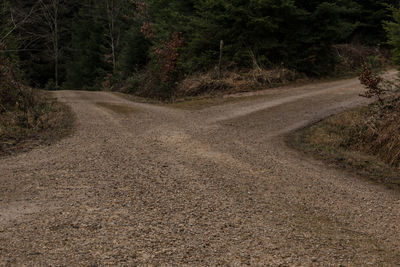 Road amidst trees in forest