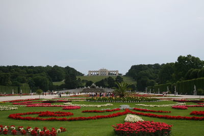 Scenic view of park against clear sky