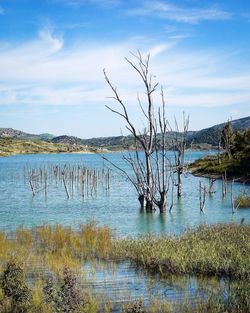 Scenic view of lake against sky