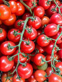 Full frame shot of tomatoes