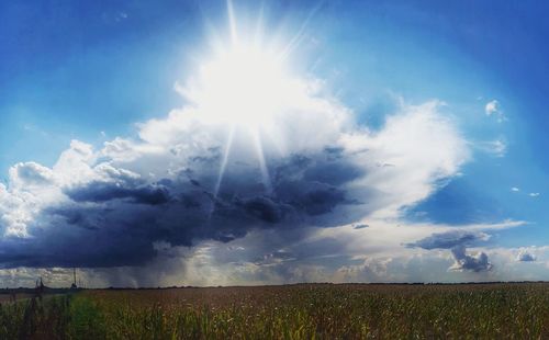 Scenic view of field against sky