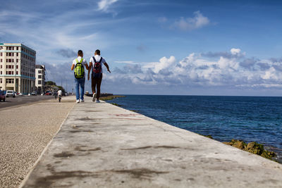 Rear view of men walking by sea against sky