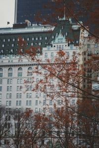 Low angle view of bare tree in town