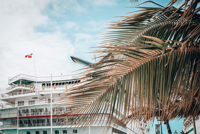 Low angle view of palm trees against sky