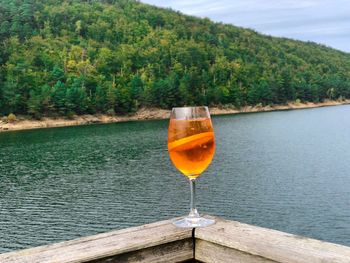 View of drink in lake against trees