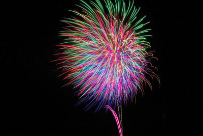 Low angle view of firework display against sky at night