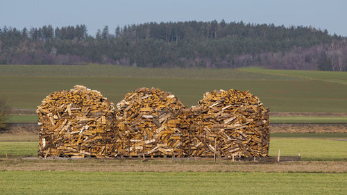 agriculture