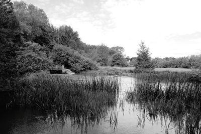 Scenic view of lake against sky