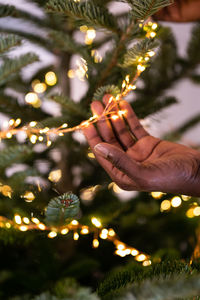 African man decorating live christmas tree with led garland, black guy stringing lights on firtree