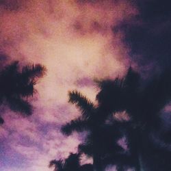 Low angle view of silhouette trees against sky at sunset