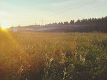 Scenic view of field against sky