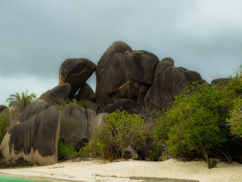 View of elephant on rock against sky
