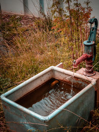 Water pipe on grass