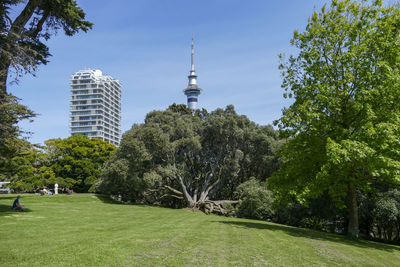 Trees in park with buildings in background