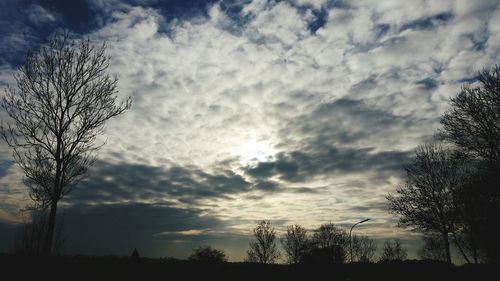 Low angle view of silhouette trees against sky at sunset