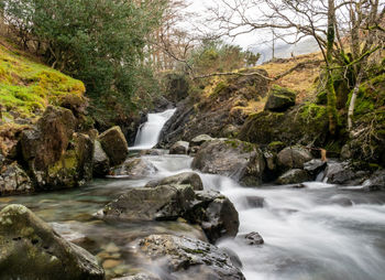 Scenic view of waterfall in forest