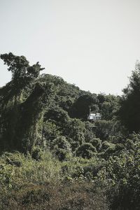 Scenic view of mountains against clear sky