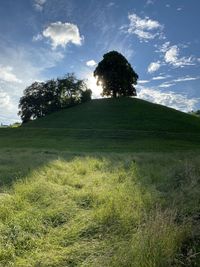 Trees on field against sky