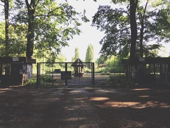 View of trees in park