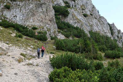 Rear view of people walking on rock against mountain